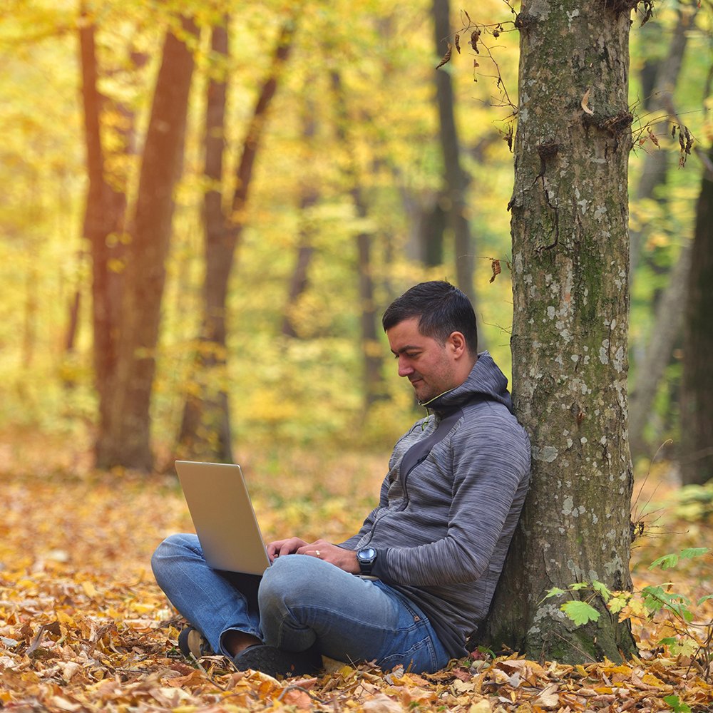 Man with laptop in forest, autumn colors, sunset warm light